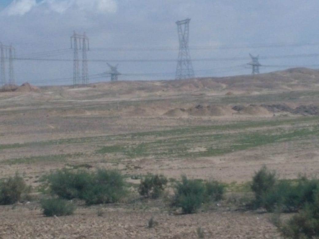 WhatsApp_Image_2023-03-16_at_7_08_19_PM