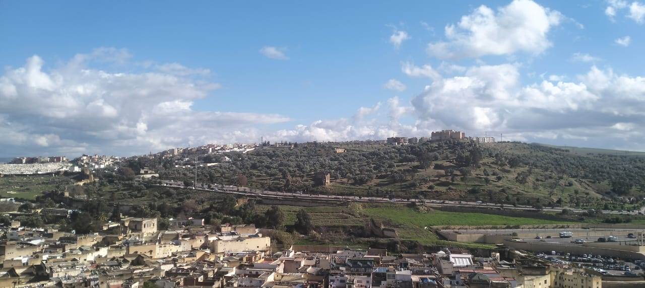 WhatsApp_Image_2026-01-07_at_11_00_21_AM_(2)