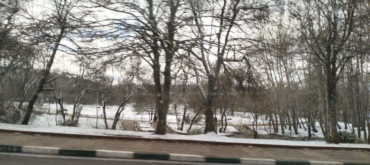 WhatsApp_Image_2026-01-07_at_1_17_08_PM