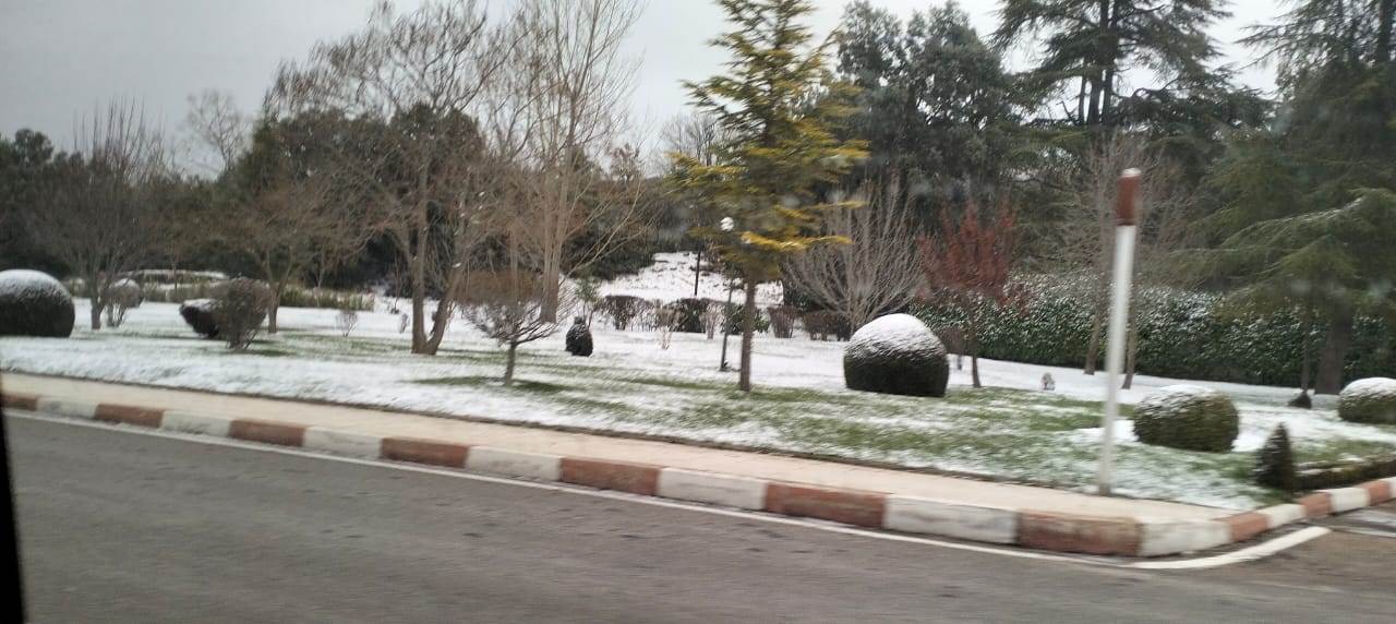 WhatsApp_Image_2026-01-07_at_1_17_09_PM