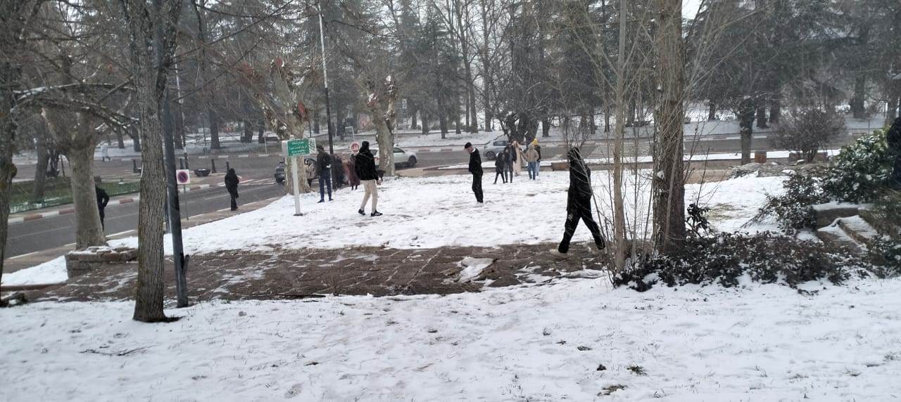 WhatsApp_Image_2026-01-07_at_1_32_15_PM