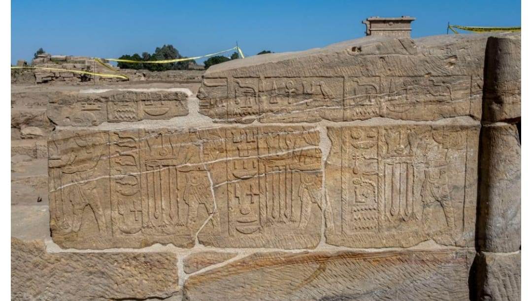 WhatsApp_Image_2026-01-28_at_12_02_55_PM_(2)