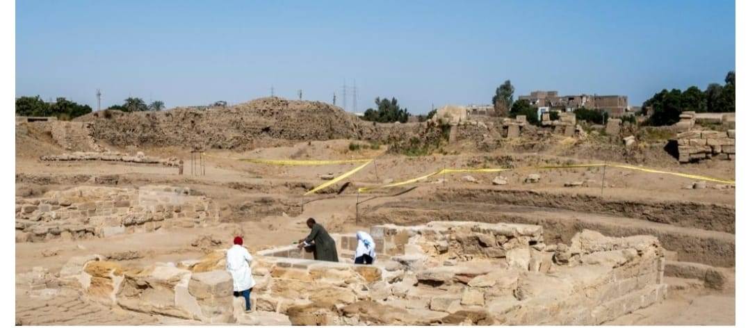 WhatsApp_Image_2026-01-28_at_12_02_55_PM