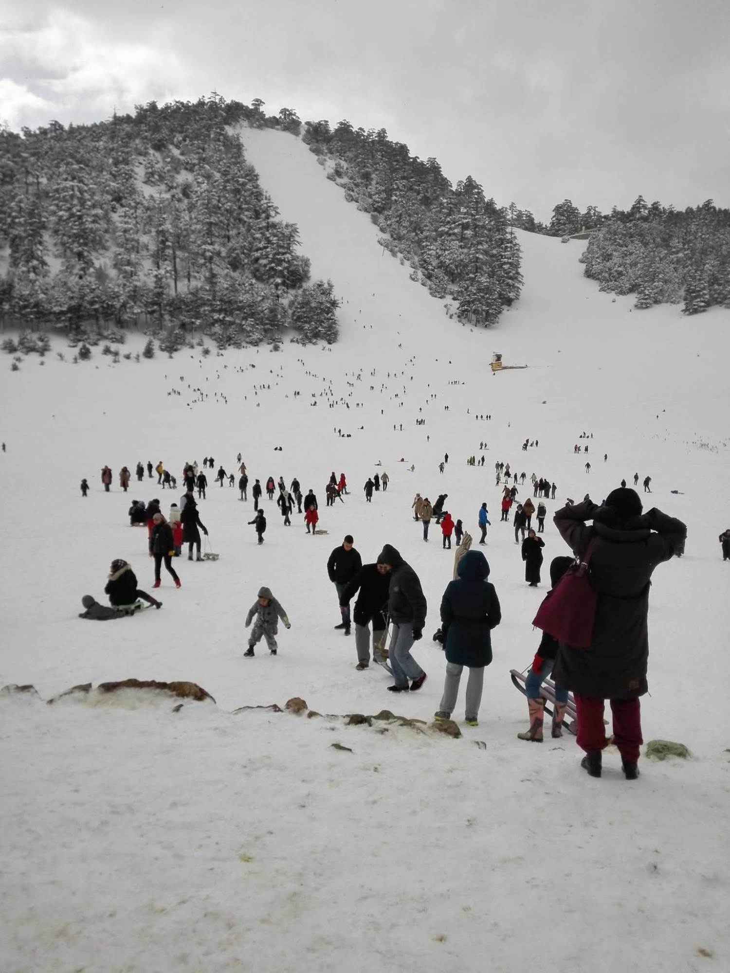 WhatsApp_Image_2026-02-06_at_12_33_06_PM_(3)