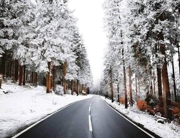 WhatsApp_Image_2026-02-06_at_12_33_06_PM