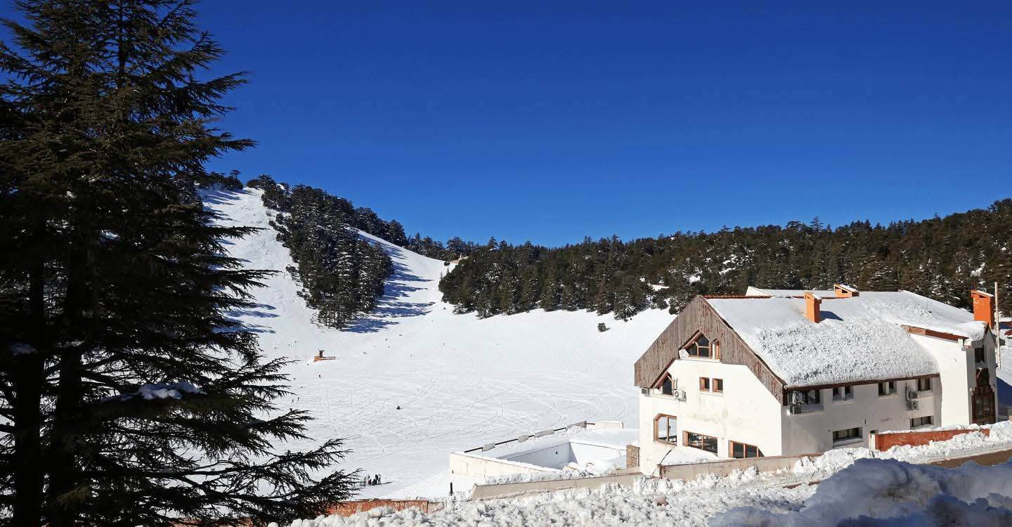 WhatsApp_Image_2026-02-06_at_12_33_07_PM_(1)