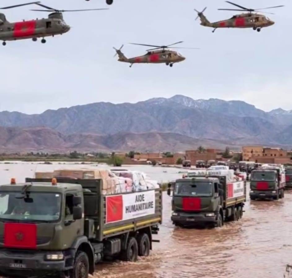 WhatsApp_Image_2026-02-07_at_11_55_53_AM_(1)