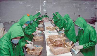 مشروع الاستزراع السمكى ببركة غليون «الحلم الذى أصبح حقيقة»