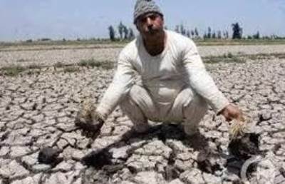 ​جفاف اكثر من الف فدان بسبب نقص البترول 