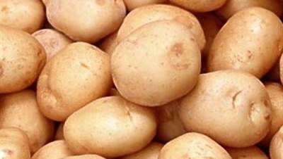 من «مجنونة يا بطاطس» إلى 5 جنيهات للكيلو مع طرح «الشتوية» بالأسواق