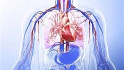 تعرّف إلى تأثير الصيام على جسم الإنسان .. شائعات وحقائق