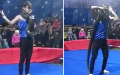 أفعى تخنق عارض سيرك حتى الموت