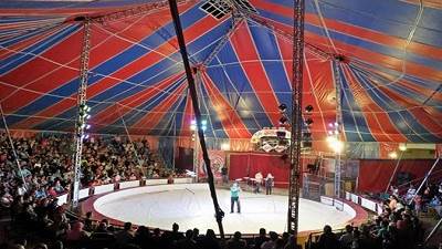 السيرك القومي يفتح أبوابه أمام الجماهير ثاني أيام العيد 