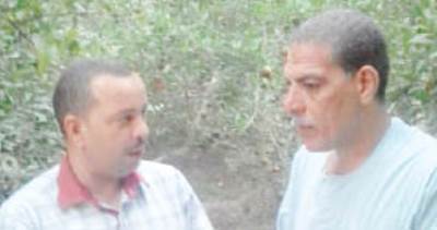 جشع المصدرين يزلزل عرش محصول الرمان بأسيوط.. و«المزارعون»: خسائر بالملايين