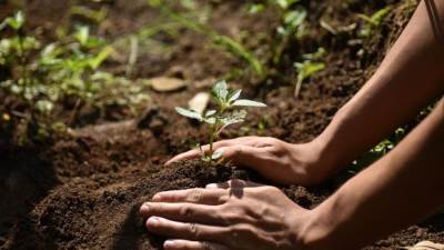 ماستركارد ترحب بانضمام إكسبو 2020 دبي وبنك الإمارات دبي الوطني ونتورك إنترناشيونال لتحالف يهدف إلى مواجهة التغير المناخي