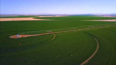 مشروع «توشكى الزراعي» نهضة زراعية كبري لم تشهدها مصر منذ أيام الفراعنة