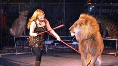 الأحد.. بدء حفلات السيرك القومى والقومية للموسيقى الشعبية بساحة الهناجر