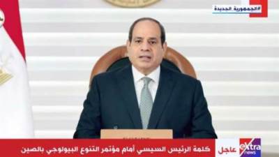 السيسي: لدينا 6 ملايين مهاجر غير شرعي ندعوهم بـ«ضيوف مصر»