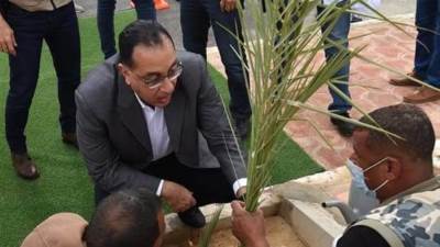 رئيس الوزراء يغرس نخلة بحديقة 30 يونيو بالخارجة