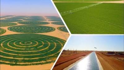 خبراء: مشروع توشكي من المشروعات القومية لتنمية الصعيد وجنوب الوادي