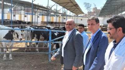 البنك الزراعى المصرى: التوسع في تمويل مشروعات الإنتاج الحيواني الكبرى