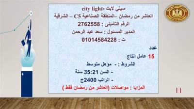 وزير القوى العاملة: توفير 3577 فرصة عمل في 16 محافظة