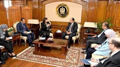 إنشاء شركة مساهمة للمصريين بالخارج وتعزيز مشاركتهم في المشروعات التنموية والاستثمارية في مصر خلال المرحلة الحالية