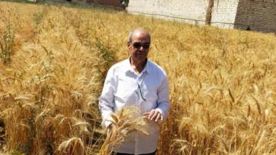 وزير الزراعة يتابع حصاد وتوريد القمح ويشيد بالفلاحين والعاملين في الإدارات المعنية 