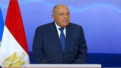 مصر: السبيل الوحيد للتسوية هو الحل السياسي بملكية سورية خالصة دون إملاءات خارجية