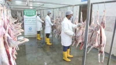 مشروع السعودية للإفادة من الهدي والأضاحي يرفع درجة استعداداته لموسم حج هذا العام