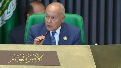 أبو الغيط يدعو لتضافر الجهود لمواجهة آثار المخاطر البيئية على الأمن الصحى