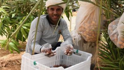 "السوق العربية" تقضي يومًا كاملًا داخل "توشكى الخير".. المشروع يعد الأكبر من نوعه في قطاع الاستصلاح الزراعي في الشرق الأوسط