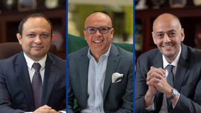 تعيين وائل عز ووائل لطفي كرئيسين تنفيذيين لقيادة ماونتن فيو