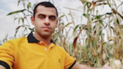 «السوق العربية» تتابع بدء موسم حصاد الذرة الشامية.. و‎الفلاحون بدأوا الحصاد وسط فرحة عارمة