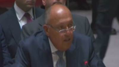  سامح شكرى أمام مجلس الأمن: ندعو لوقف فورى لإطلاق النار فى غزة دون قيد أو شرط 