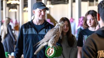 مشهد الصقور على الطائرة يجذب سياحًا أستراليين لزيارة كأس العلا للصقور