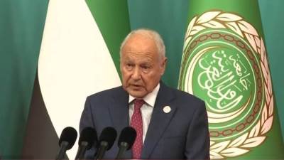 أبوالغيط: الوقف الفوري للعدوان على قطاع غزة أصبح ضرورة لصيانة الضمير الإنساني