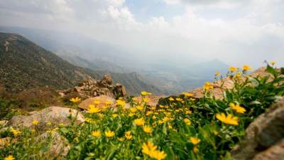 "عسير" السعودية ..تجربة سياحية لا تُنسى 