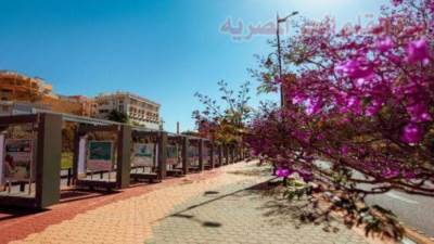 12 وجهة استثنائية في "عسير" السعودية تنتظر السياح في موسم "العيد" 