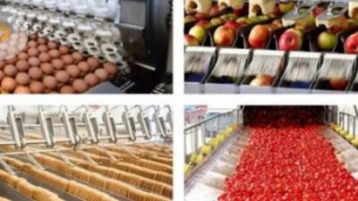 السوق العربية تبحث كيفية تعظيم الصناعات الغذائية الزراعية