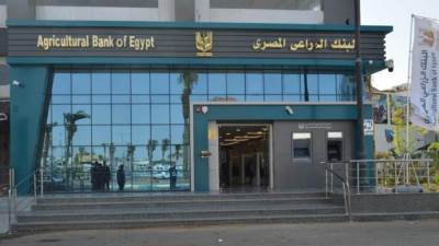 البنك الزراعي يضخ 25.6 مليار جنيه لتمويل قروض إنتاج المحاصيل الزراعية 