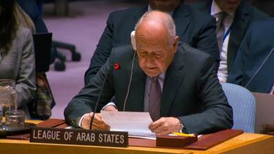 أبو الغيط: إهدار الحق الفلسطيني تهديد ماثل للأمن والسلم الدوليين