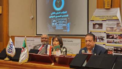 أكبر تجمع عربى دولى لصناعة الدواجن يجتمع فى مصر