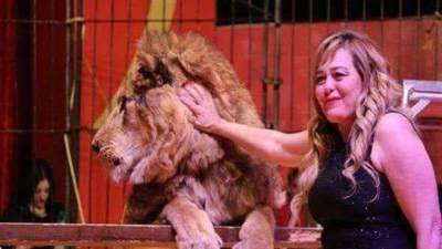 فاتن الحلو تكشف عن تجربتها في دار كبار الفنانين: “دهب وكاميليا سندي في الحياة”