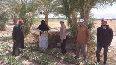 زراعة جنوب سيناء قوافل زراعية تجوب الوديان 