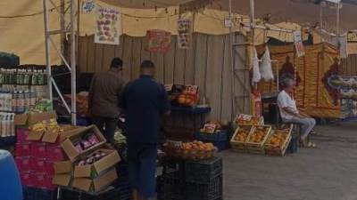 محافظ الجيزة يتابع انتظام تشغيل أسواق اليوم الواحد بأحياء إمبابة والعجوزة