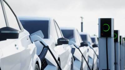 الحكومة المصرية تدرس حصرية إستيراد السيارات الكهربائية (الصينية) على الوكلاء الرسميين فقط