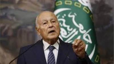 أبو الغيط يدعو إلى إنهاء حرب غزة وتنفيذ حل الدولتين