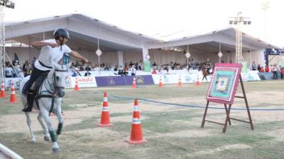 محافظ الشرقية يفتتح مهرجان الخيول العربية الأصيلة في دورته الــ 29 بالعاشر من رمضان 