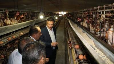 بالأرقام حصاد إنجازات وزارة الزراعة خلال عام 2025